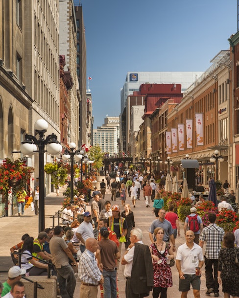 Livlig gata i Ottawa med olika företag
